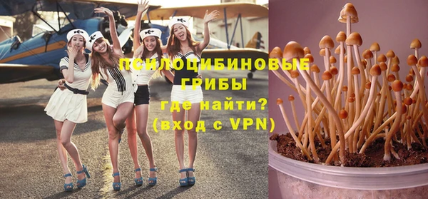 прущая мука Абаза
