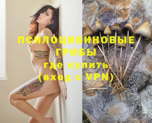 не бодяженный Абинск