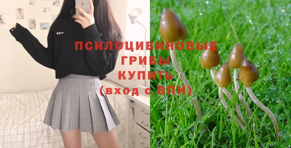 прущая мука Абаза