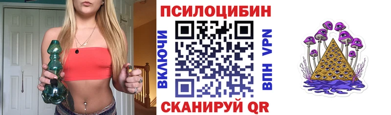 Псилоцибиновые грибы Psilocybine cubensis  магазин продажи наркотиков  Щучье 