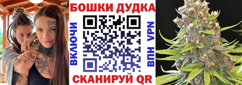 где можно купить   Щучье  сайты даркнета клад  Конопля планчик 